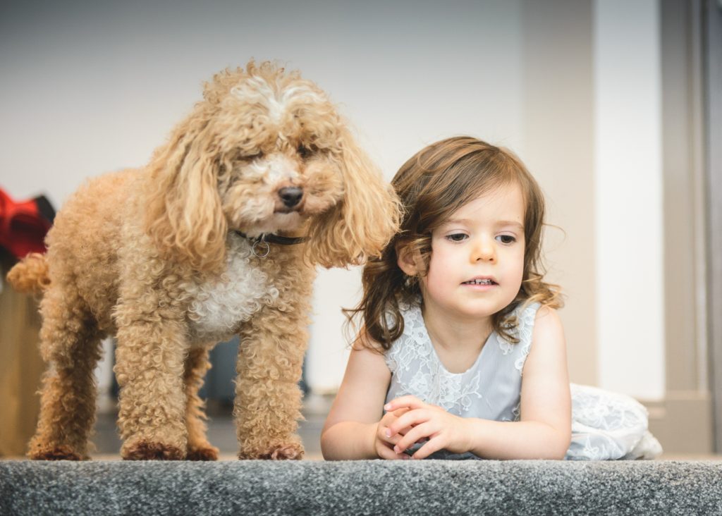 Young girl and dog sat at the top of the stairs