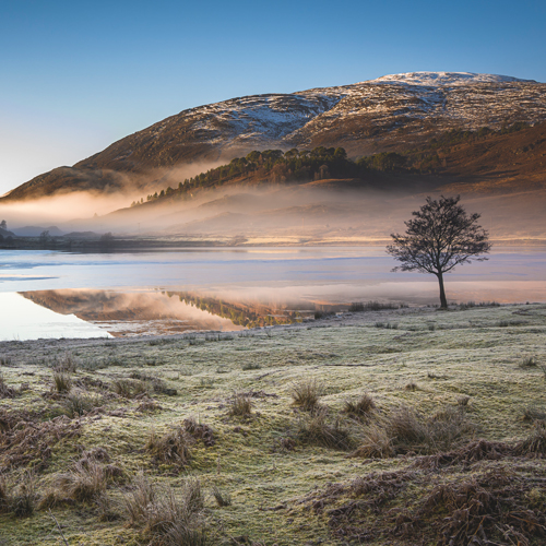 Glen Affric Elopements