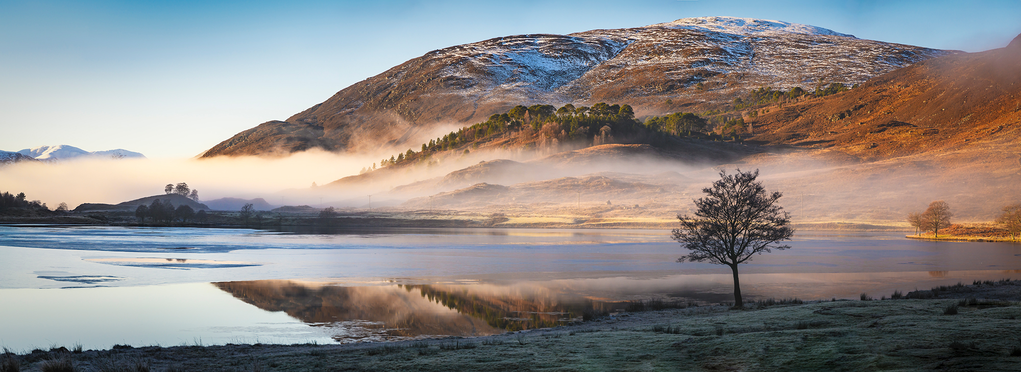 Glen Affric Elopements