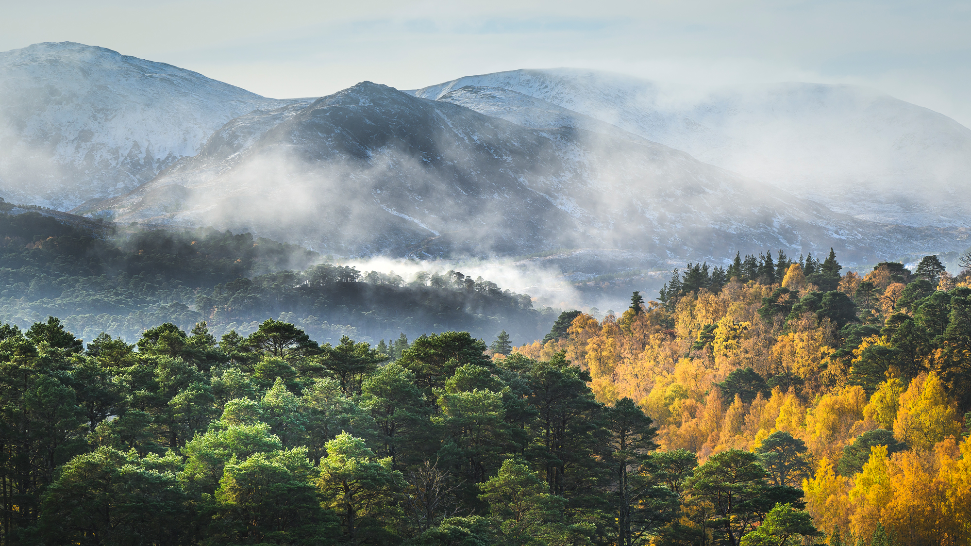 Glen Affric Elopements