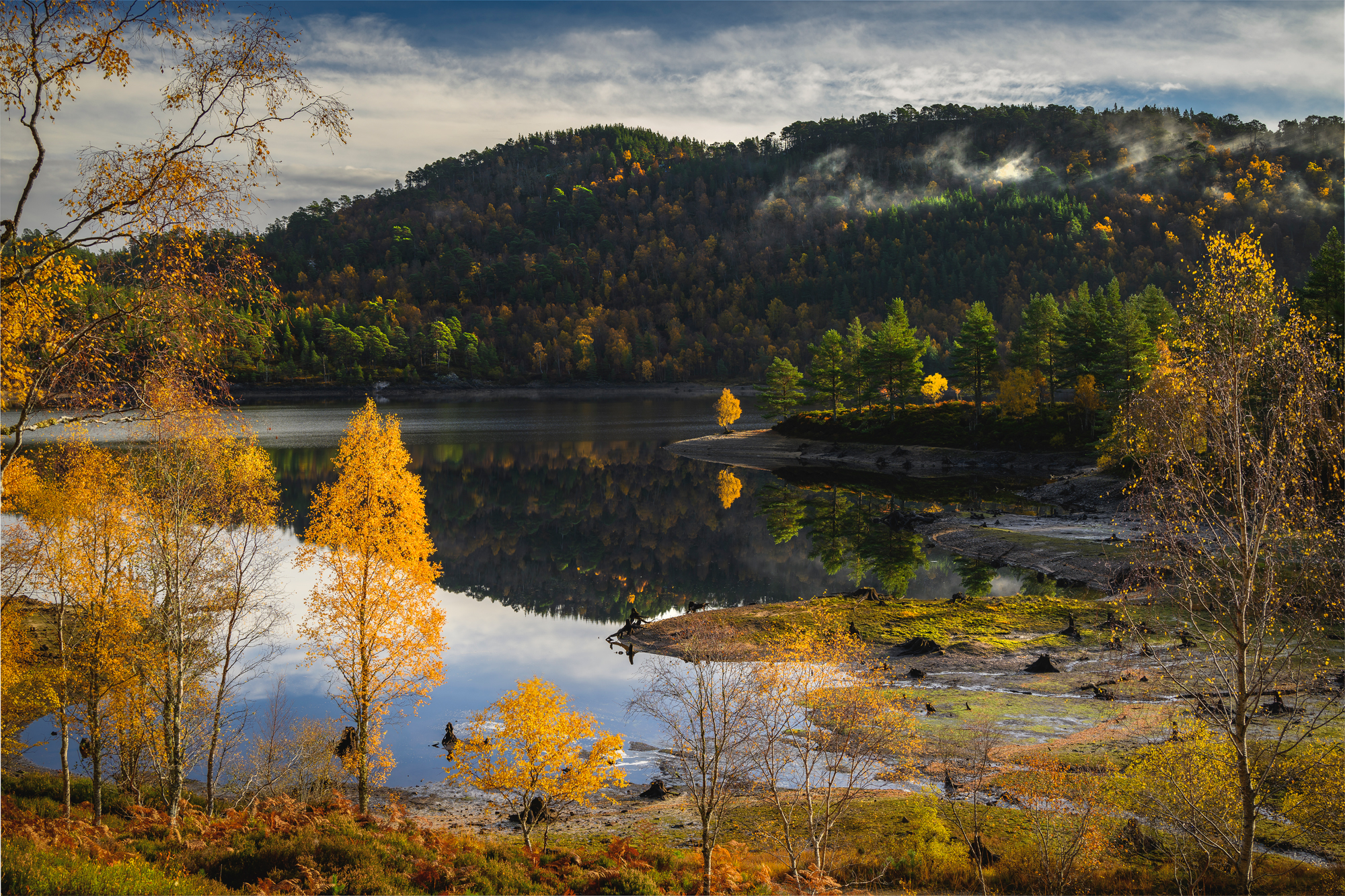Glen Affric Elopements