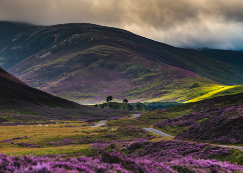 Scottish Elopement Photographer